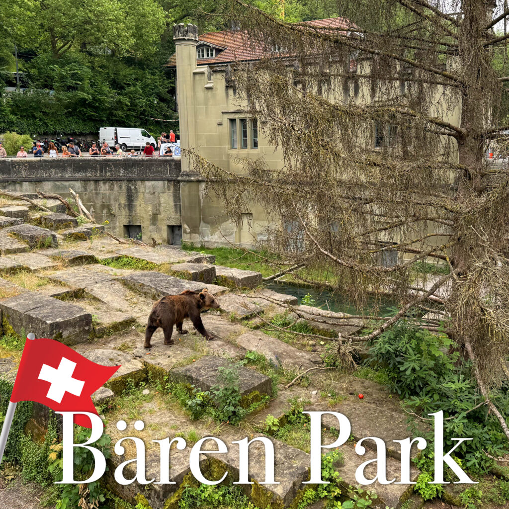 bären park