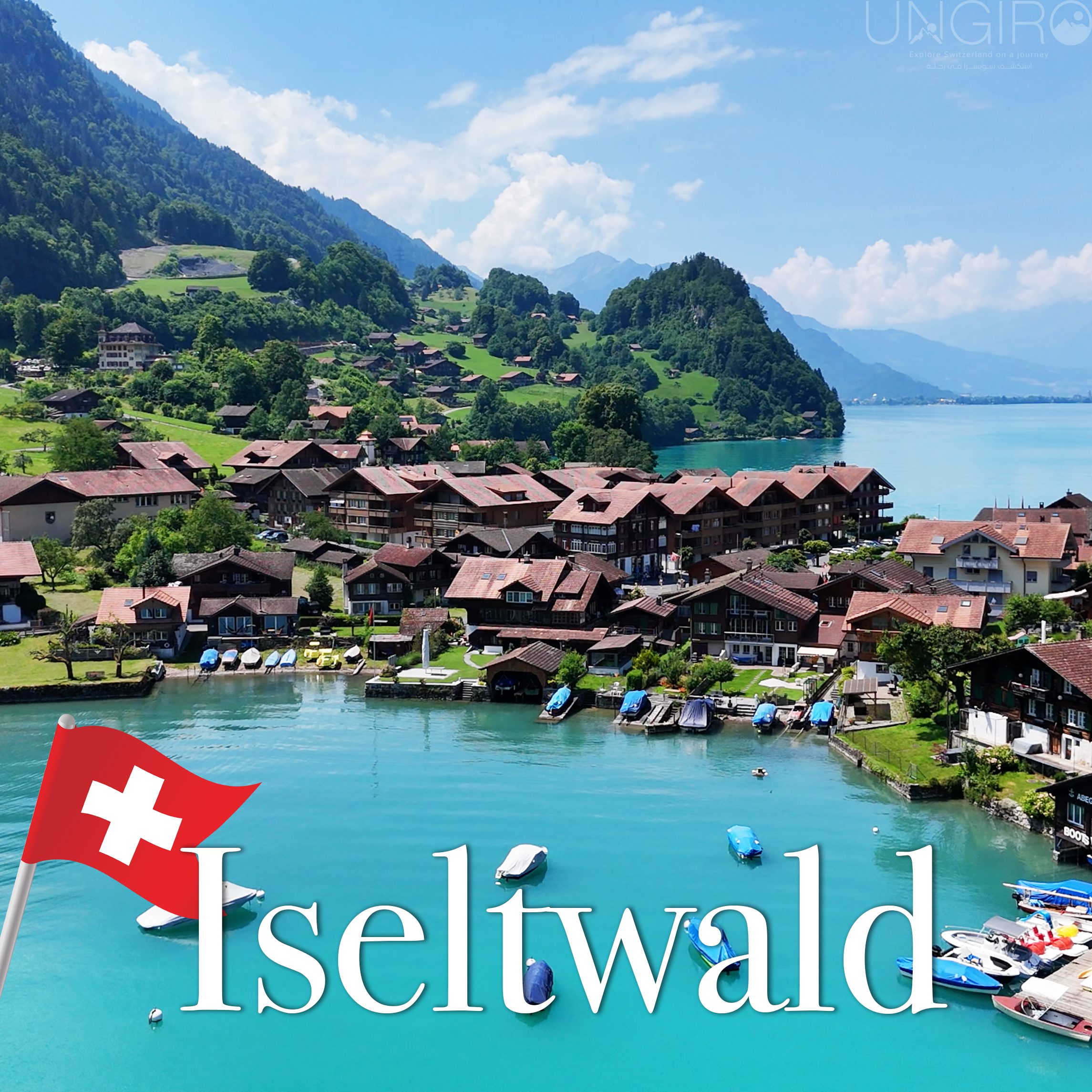 ترشيحاتنا iseltwald