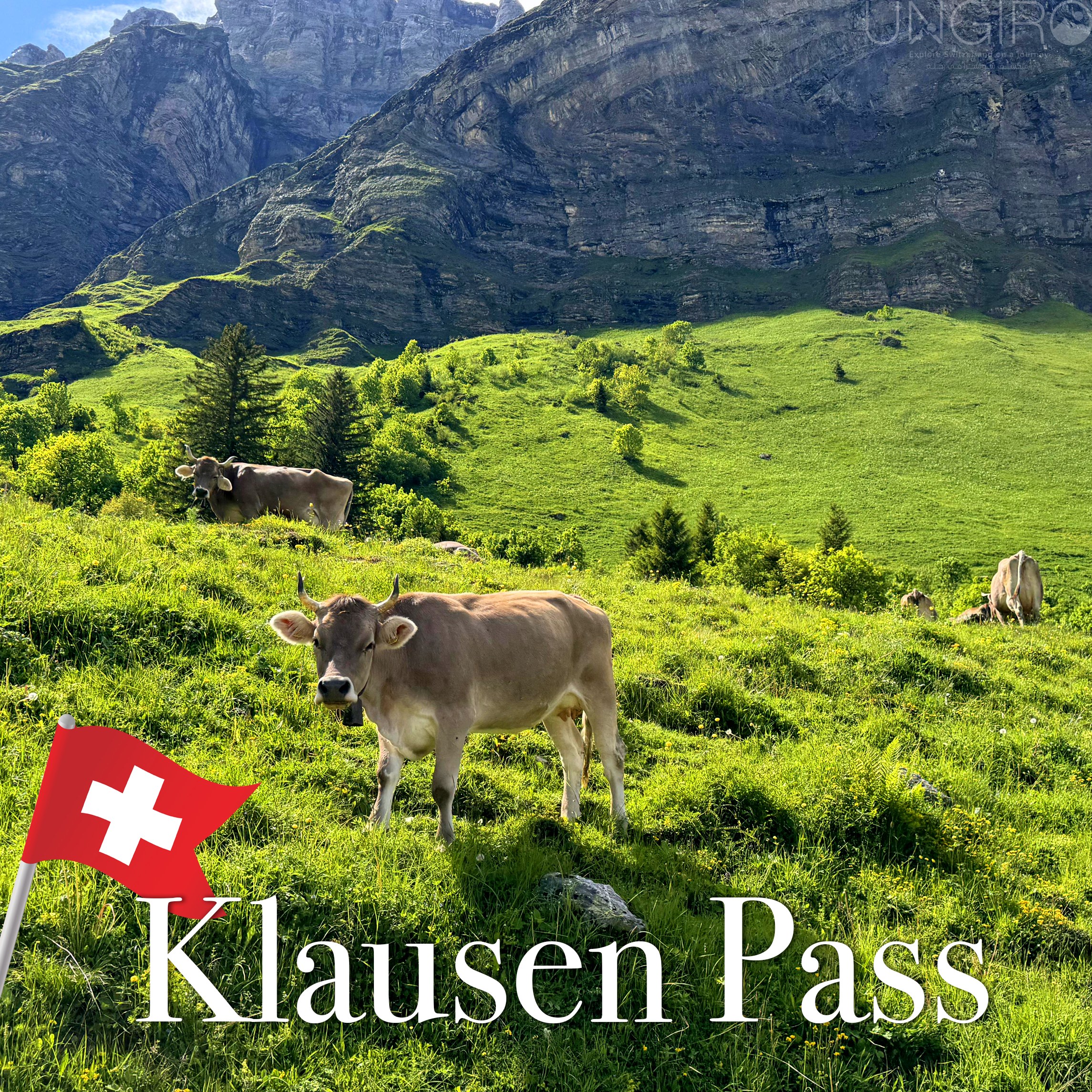 ترشيحاتنا klausen pass 3