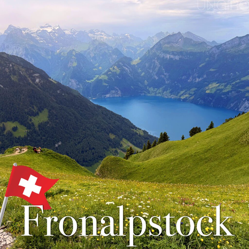 fronalpstock 7