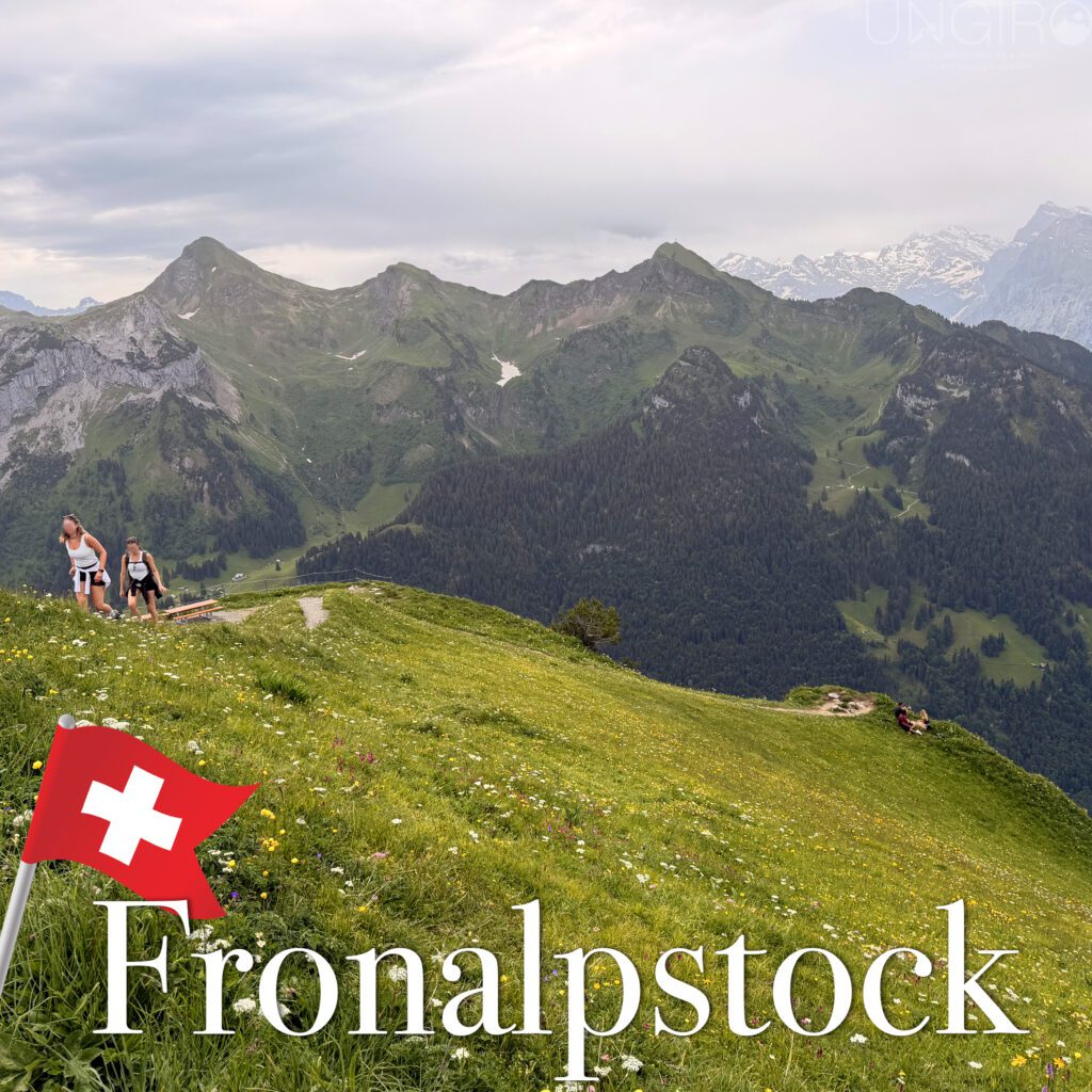 fronalpstock 9