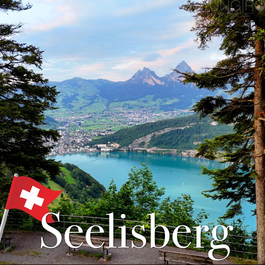 seelisberg 1