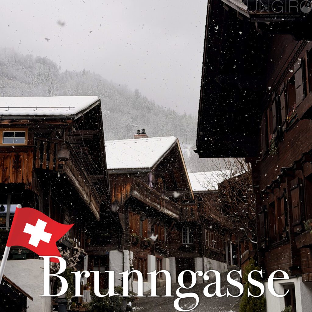 brunngasse 2