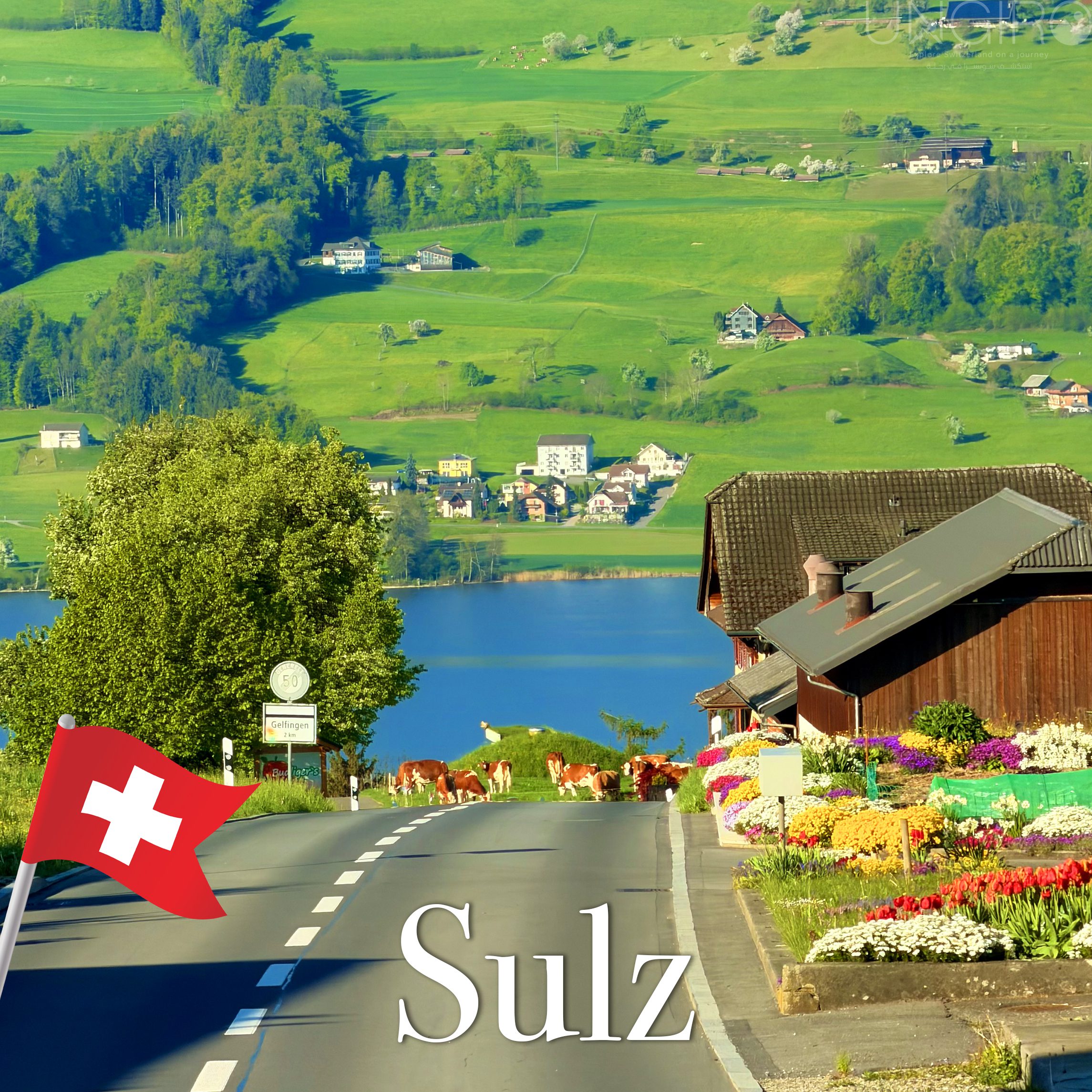 sulz 4657