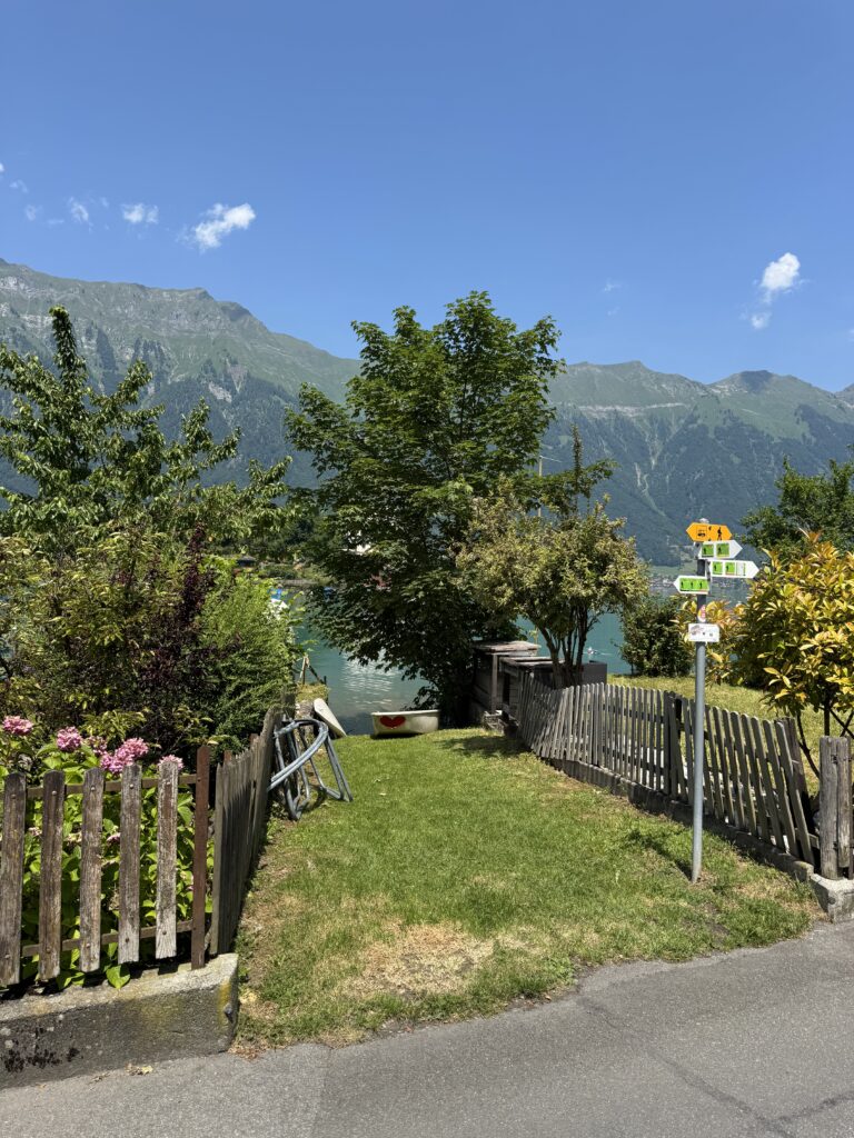 2025 06 19 12 35 img 8657