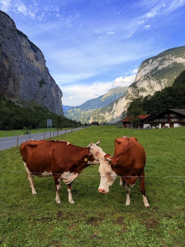 لاوتربرونن Lauterbrunnen: دليل وادي الـ72 شلال وادي لاوتربرونن من أجمل أماكن سويسرا