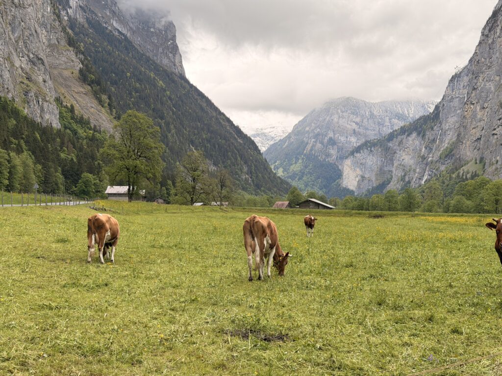 لاوتربرونن Lauterbrunnen: دليل وادي الـ72 شلال الطبيعة في وادي لاوتربرونن