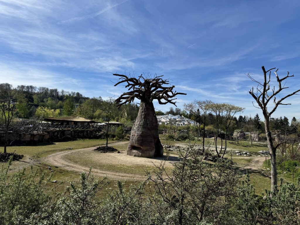 حديقة حيوان زيورخ Zoo Zürich: دليل الزيارة للعائلات 2024 04 13 15 50 img 7156