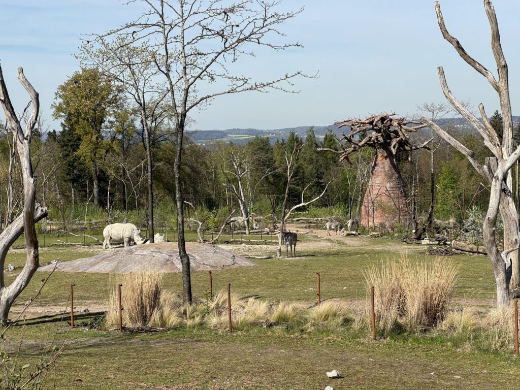 حديقة حيوان زيورخ Zoo Zürich: دليل الزيارة للعائلات 2024 04 13 16 15 img 7204
