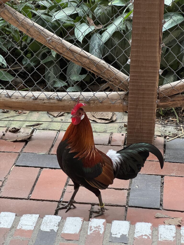 حديقة حيوان زيورخ Zoo Zürich: دليل الزيارة للعائلات 2024 04 13 17 37 img 7301