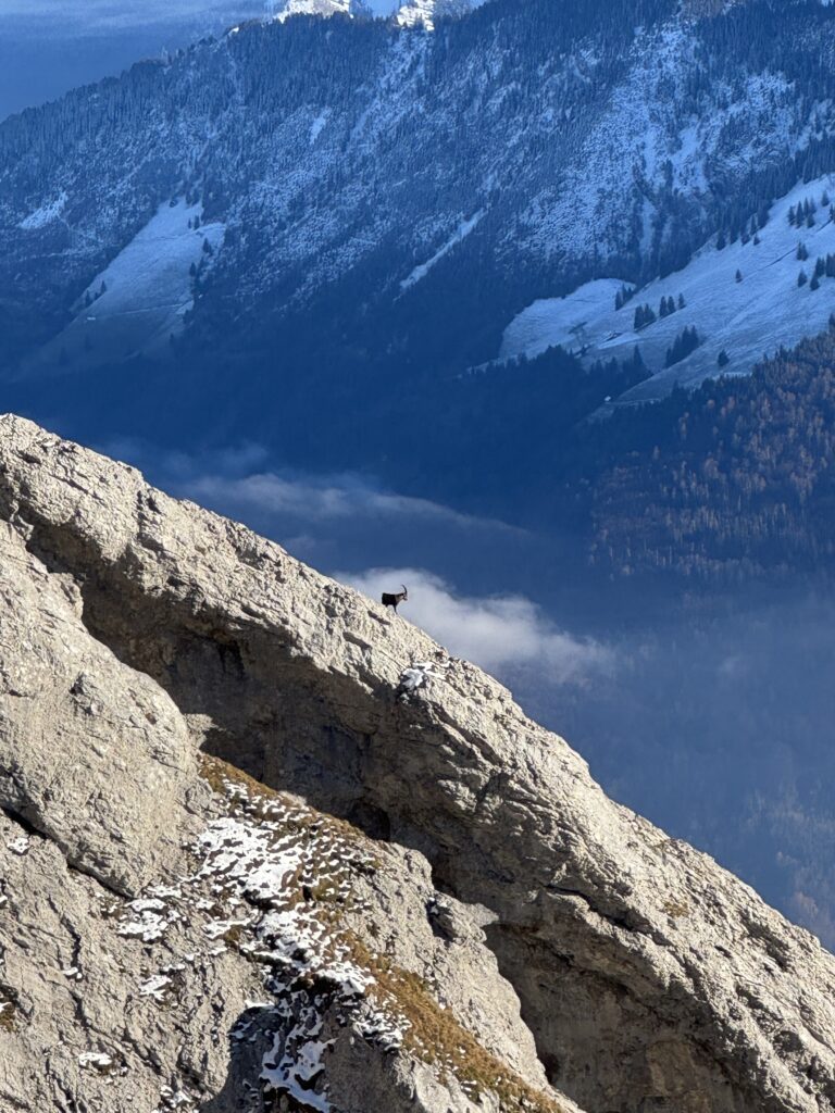 جبل بيلاتوس Pilatus: دليل الزيارة من لوتسرن 2024 11 15 14 36 img 0614
