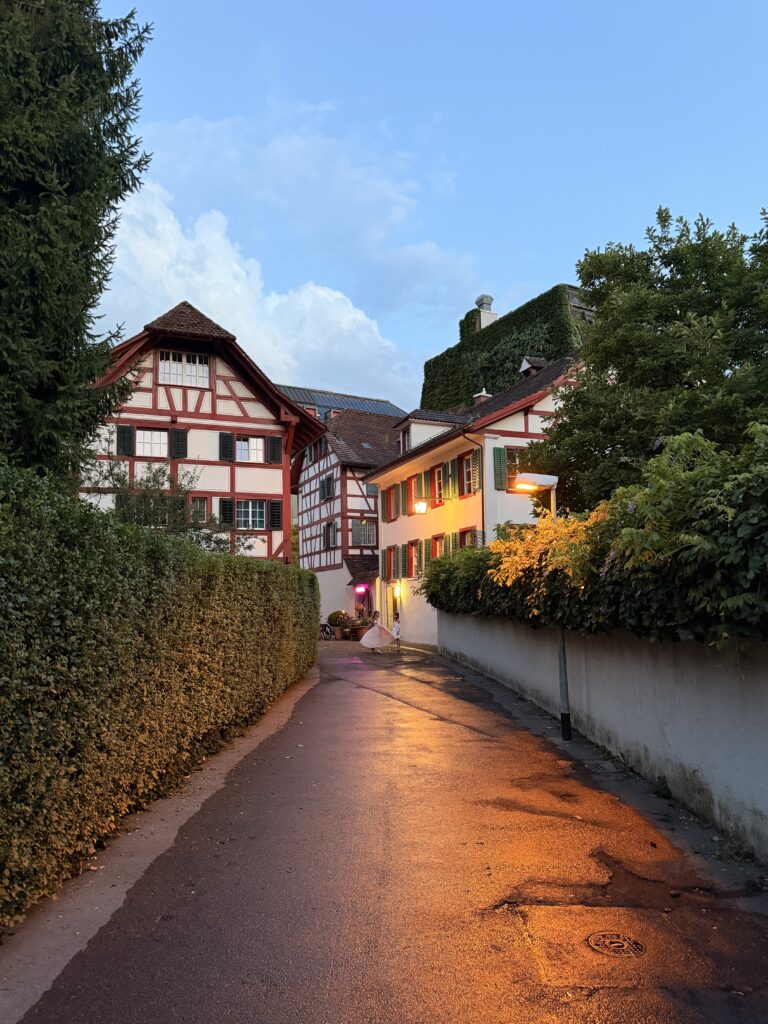 لوتسرن Luzern: دليل السياحة والأنشطة للعائلات العربية img 2924