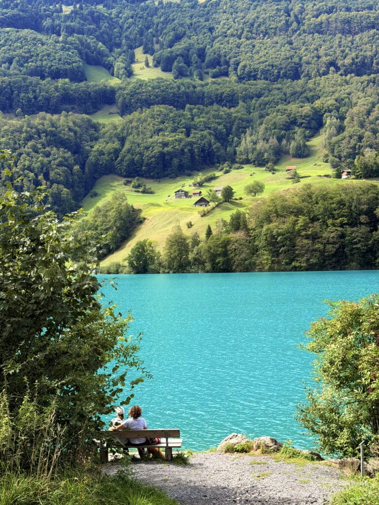 بحيرة لونغرن Lungernsee: دليل الزيارة وأجمل الإطلالات img 5338