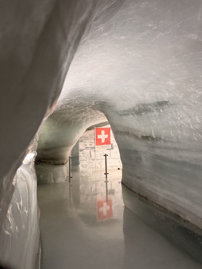 img 7508