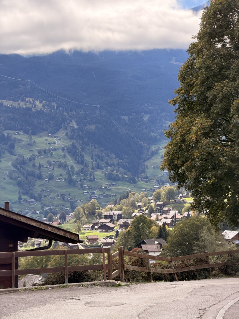 جريندلفالد Grindelwald: دليل السياحة والأنشطة للعائلات img 8117