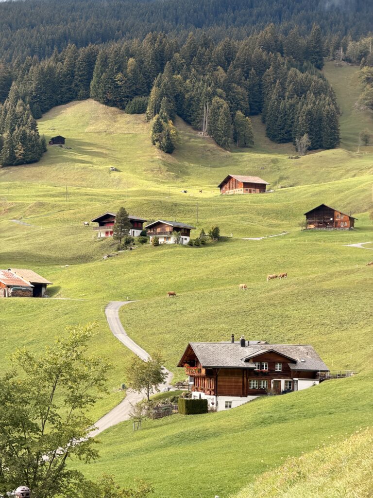 جريندلفالد Grindelwald: دليل السياحة والأنشطة للعائلات img 8139