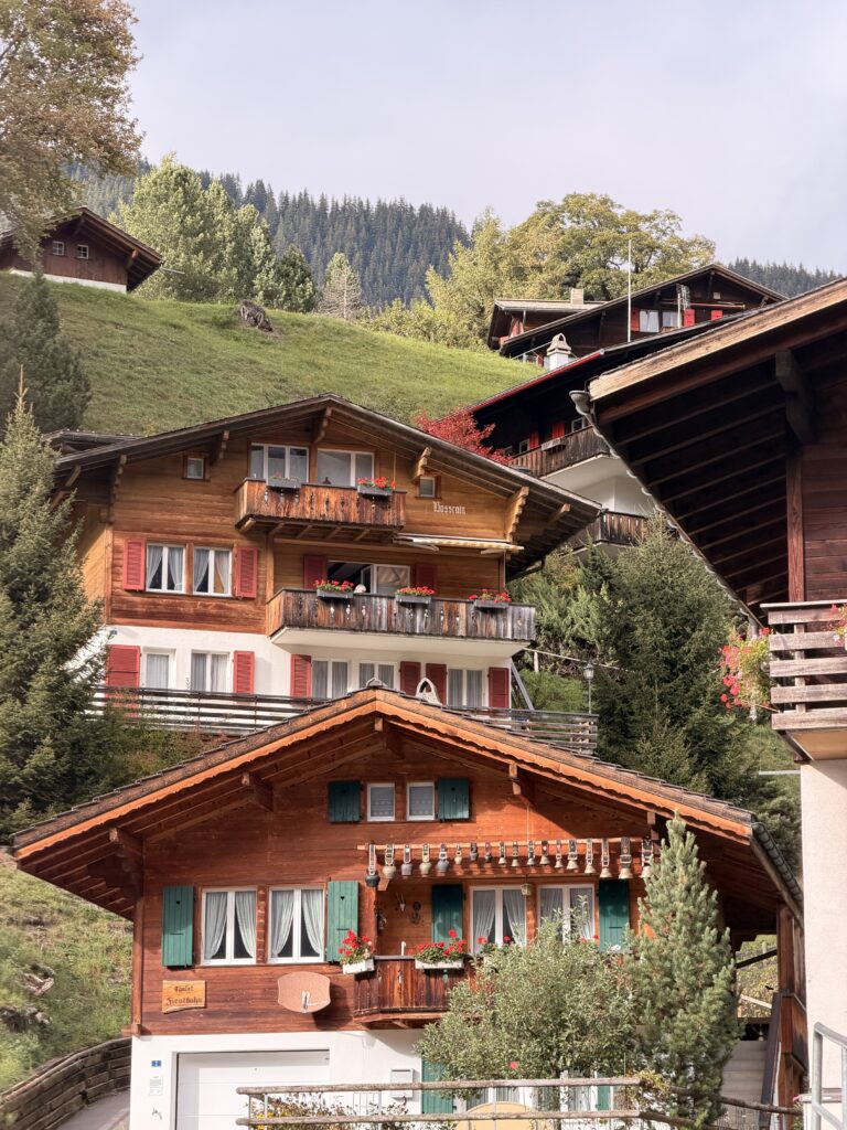 جريندلفالد Grindelwald: دليل السياحة والأنشطة للعائلات img 8164